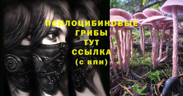 мескалин Балахна