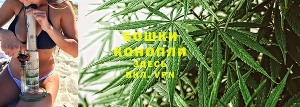 дживик Балабаново